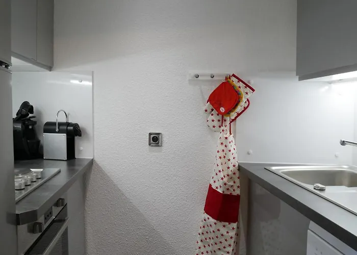 Duplex Pour 10 Pers., Proche Pistes Et Centre - Fr-1-329-105 * La Plagne-Tarentaise